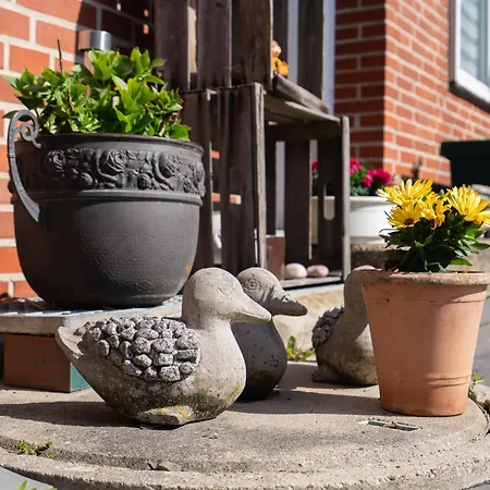 Apartmán Bed & Bike 